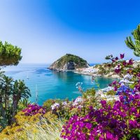 Layover Tours