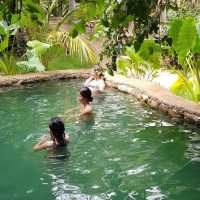 Half-day Tours