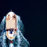 Day Cruises