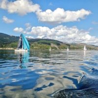 Cruises, Sailing & Water Tours