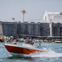 Half-day Tours