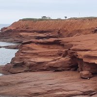 Shore Excursions