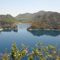 Day Trips & Excursions