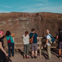 Half-day Tours
