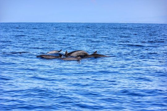 Valentine's Day in Puerto Escondido