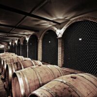 Food, Wine & Nightlife