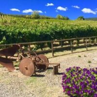 Holiday & Seasonal Tours