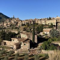 Private Sightseeing Tours