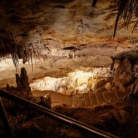 Half-day Tours