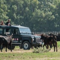 Private Sightseeing Tours