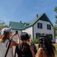 Half-day Tours