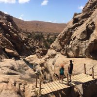 Day Trips & Excursions