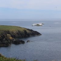 Private Sightseeing Tours