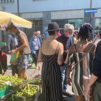 Street Food Tours