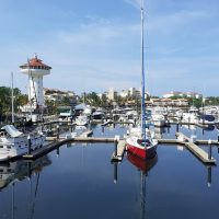 Bus & Minivan Tours