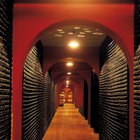 Wine Tasting & Winery Tours