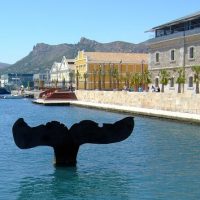 Private Sightseeing Tours