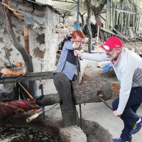 Cultural & Theme Tours