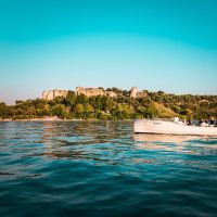 Day Cruises