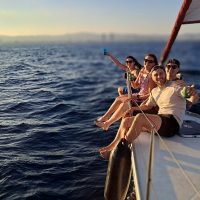 Dolphin & Whale Watching