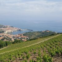 Shore Excursions