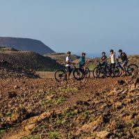 Walking & Biking Tours