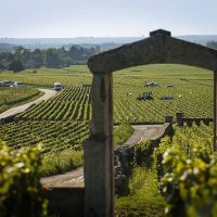 Day Trips & Excursions