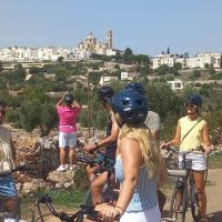Tours & Sightseeing