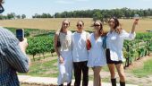 Perfect Day in the Hunter Valley