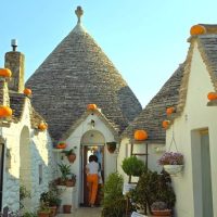 Full-day Tours