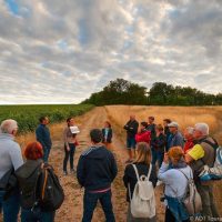 Half-day Tours