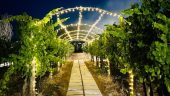 Wonderful wine tasting experience