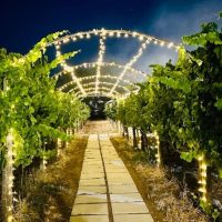 Wine Tasting & Winery Tours