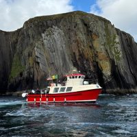 Cruises, Sailing & Water Tours