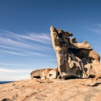 Full-day Tours