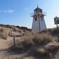 Day Trips & Excursions