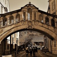 Walking & Biking Tours