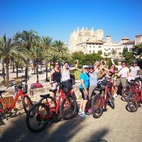 City Tours