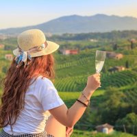 Bus & Minivan Tours