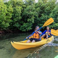Cruises, Sailing & Water Tours