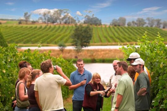 Halloween in Yarra Valley