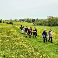 Cultural Tours
