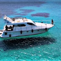 Port Transfers