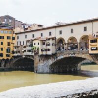 Bus & Minivan Tours