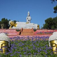 Plantation Tours