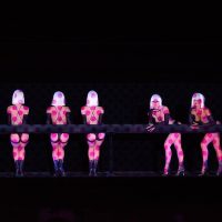 Theater, Shows & Musicals