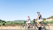 Fun, scenic bike day w/a wine stop