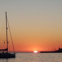Boat Tours