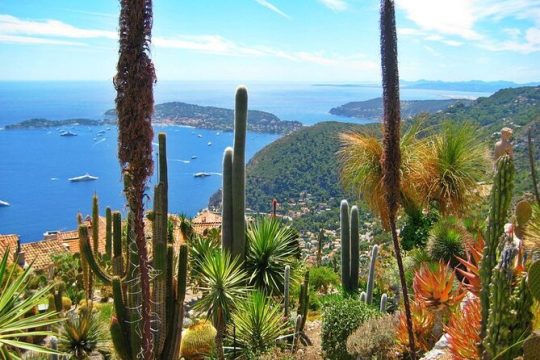 Valentine's Day in Villefranche-sur-Mer