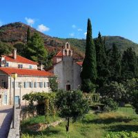 Private & Custom Tours